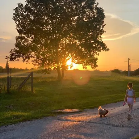 Levendulas Haz - Balatonfőkajár Exterior foto