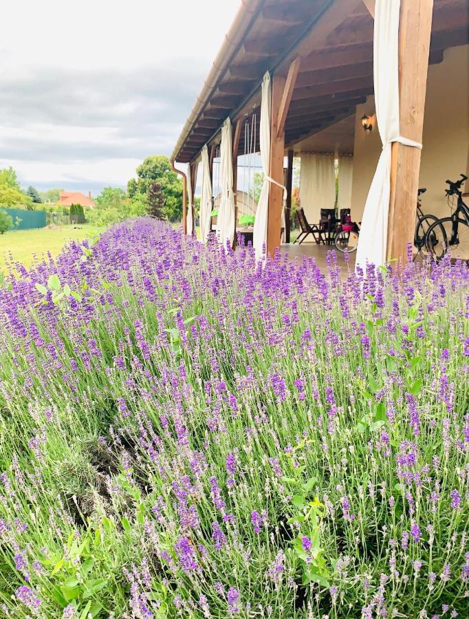 Holiday home Levendulas Haz - Balatonfokajar